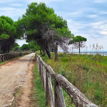 Sunny Escape With Private Garden Appartamento